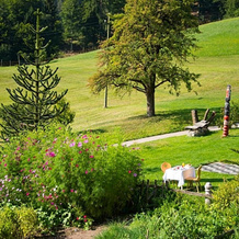 Gasthof Wieser, Аппиано-сулла-Страда-дель-Вино (Эппан-ан-дер-Вайнштрассе) — фото 4