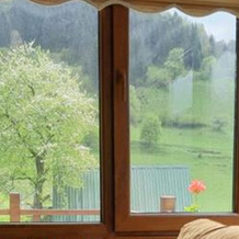 Yayla Bungalov Hotel, 德雷利 — 照片 5