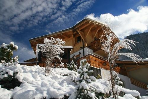 Chalet Chantelle, 莫尔济讷 — 照片 1