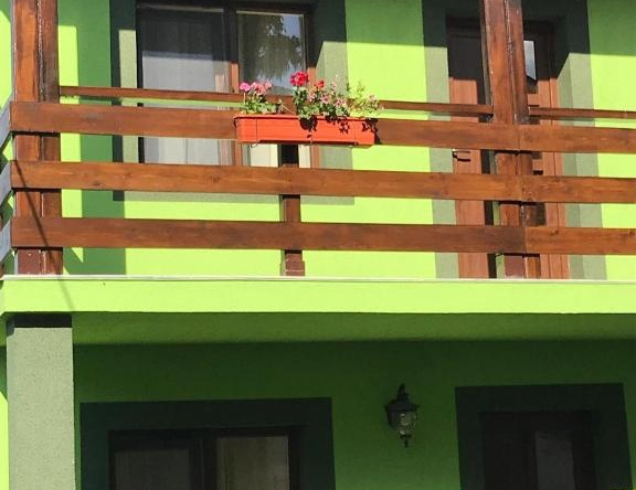 Green House Inn, Калиманести — фото 1