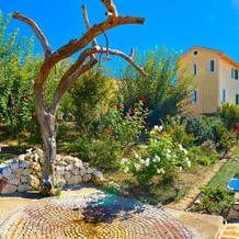 Alkyon Apartments & Villas Hotel, Ligia — photo 2