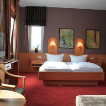 Buskes Hotel Steinförde, 维策 — 照片 3