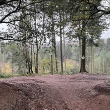 Studio/lickey Hills/near Attractions/garden/petok, Birmingham — photo 5