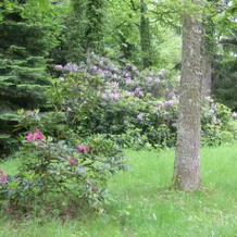Domaine Des Quatre Vents, 南斯 — 照片 3