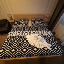 Hotel Boršičanka, Havirov — photo 2