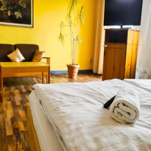 City Hotel Pforzheim, 普福尔茨海姆 — 照片 3