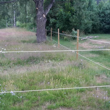 Bjärkeryd Södergård Bed & Stable, Kisa — фото 3