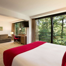 Dolce By Wyndham La Hulpe Brussels, Ла-Юлп — фото 2