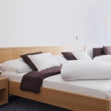 Hotel Hv Fli, Altdorf — photo 3