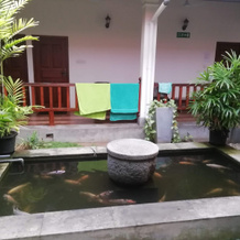 Sundowners Guesthouse, Hikkaduwa — photo 4