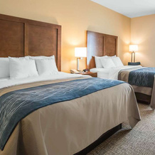 Comfort Inn Apalachin, 奥韦戈 — 照片 5