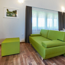 B&B Apartments Buric Plitvice Lakes, Селисте Дрезничко — фото 3