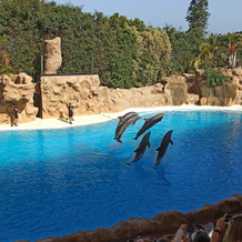Be Live Experience Orotava, 克鲁斯港 — 照片 3