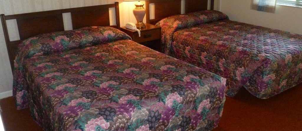 Heidelberg Motel by Capital O Bridgeport Frankenmuth I 75, 切萨宁 — 照片 1