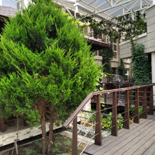 Belveder Hotel, 佩列瑟普 — 照片 3