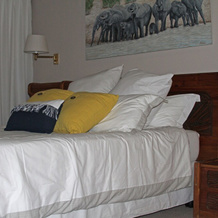 Die Grasdak, Kroonstad — photo 4