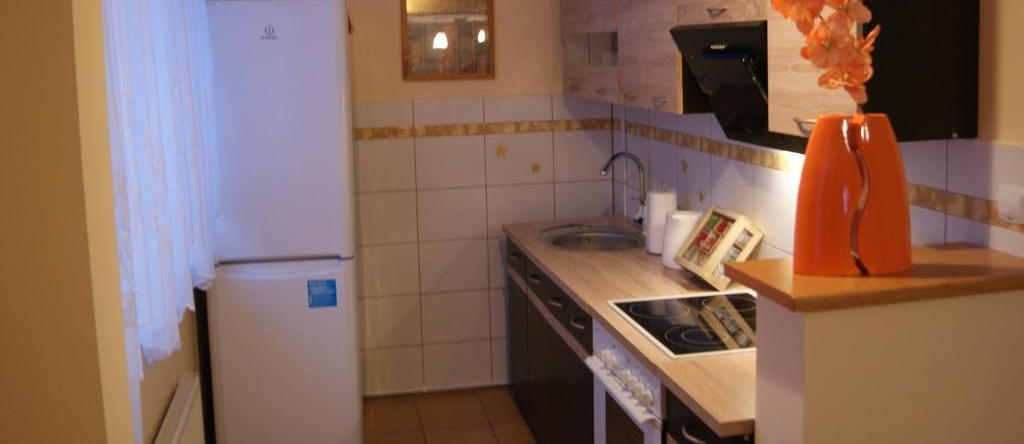 Apartament Ametyst, Еленя-Гура — фото 1