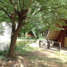 Modikgweng Lodge, Босхук — фото 2