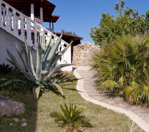 Apartments Ruža Dragove Dugi Otok, Вели Рат — фото 1