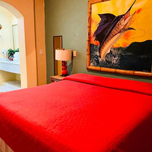 Villa Para 8 Personas 6 Adultos 2 Menores En Hotel Tsoro Ixtapa Wifi Gratis, Истапа — фото 2