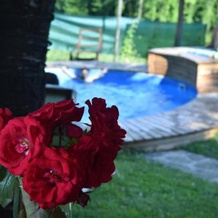 Log cabin Silec, Dobrna — photo 2