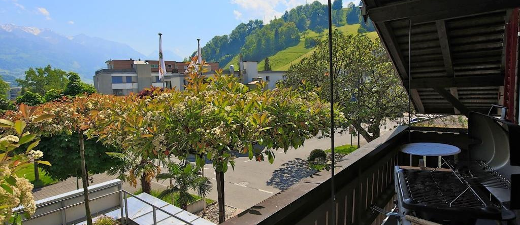 Apartment Suite Chalet Wirz Travel, 萨尔嫩 — 照片 1