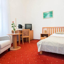 Monti Spa Hotel, Frantiskovy Lazne — photo 3