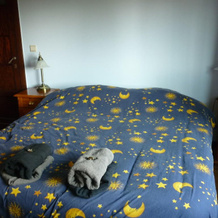 Huize Bianca, Wevelgem — photo 4