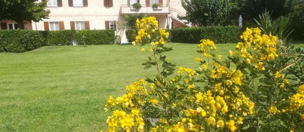 SCHITO 114 Country Life, Treia — photo 1