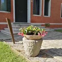 Azienda Agricola Marin, Este — photo 5