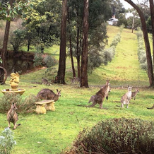 Countryside Intimate Studio Retreat, 赫本 — 照片 4