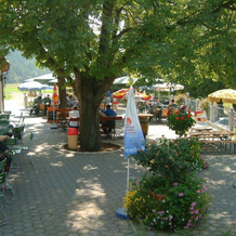 Landgasthof "Zum Birnthaler", Kallmünz — photo 4