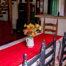 Villa Pajon Eco Lodge, 康斯坦西亚 — 照片 2