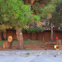 Plamya Living quarters, 奥列尼夫卡 — 照片 2