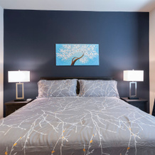 Elan Med Center 544 Apart-Hotel, 休斯顿 — 照片 3