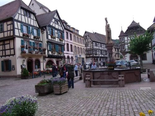 la roseraie, Fréland — photo 1