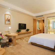Vienna International Hotel, 濮阳 — 照片 4