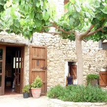 Masia La Costereta, Кати — фото 4