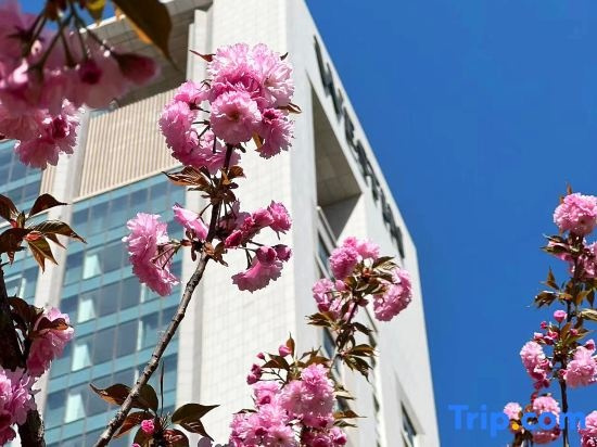 The Westin Yantai, 烟台 — 照片 1