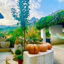 Casa Puccio B&B, Кальтабеллотта — фото 5