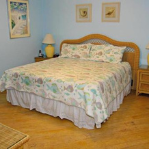 Tropical Breeze - 3 Br Home, 奥克岛 — 照片 2