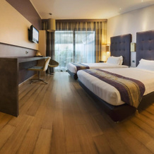 Rome Airport Hotel Fiumicino, 菲乌米奇诺 — 照片 3