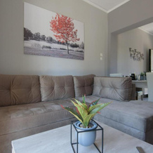 Andriana' s apartment Agia Paraskevi, 圣帕拉斯凯维 — 照片 3