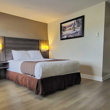Maple Leaf Inn & Suites, 金卡丁 — 照片 5
