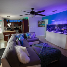 Urban Oasis W/hot Tub, Heated Pool And Private Movie Theater 2 Bedroom Home by RedAwning, Melbourne — photo 4
