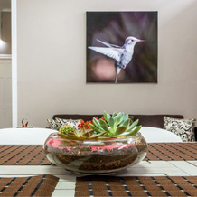 Apartamento Céntrico en San José, 圣何塞 — 照片 3