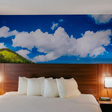 Clarion Pointe-Dillard Near Blue Ridge Mountains, Диллард — фото 3