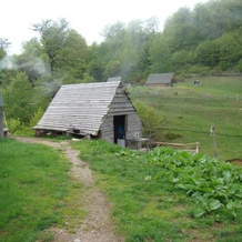 Eco Village Goles, 莫伊科瓦茨 — 照片 2