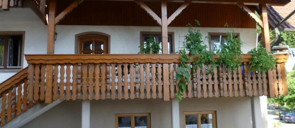 Vogthof Wohnung Schneckenhus, Лаутенбах — фото 1