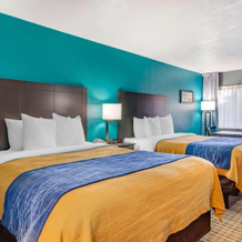 Comfort Inn Sun City Center - Ruskin - Tampa South, 太阳城中心 — 照片 4